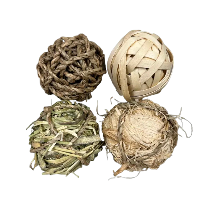 Chew Toy Balls (4 Pack)