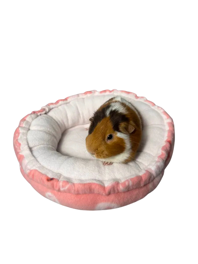 Donut Bed