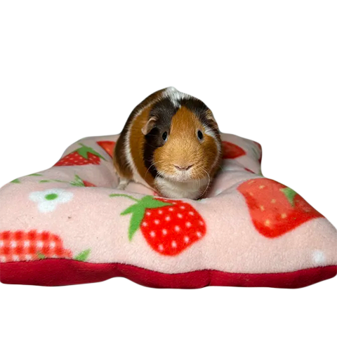 Plush Bed