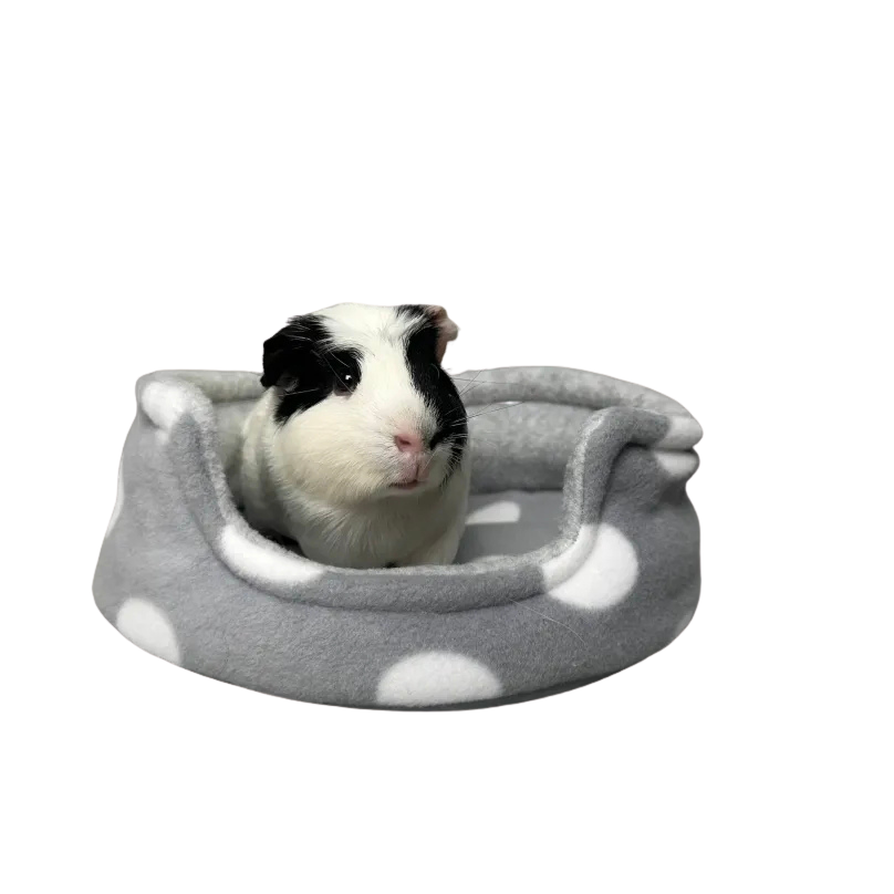 Cuddle Cup