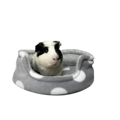 Cuddle Cup