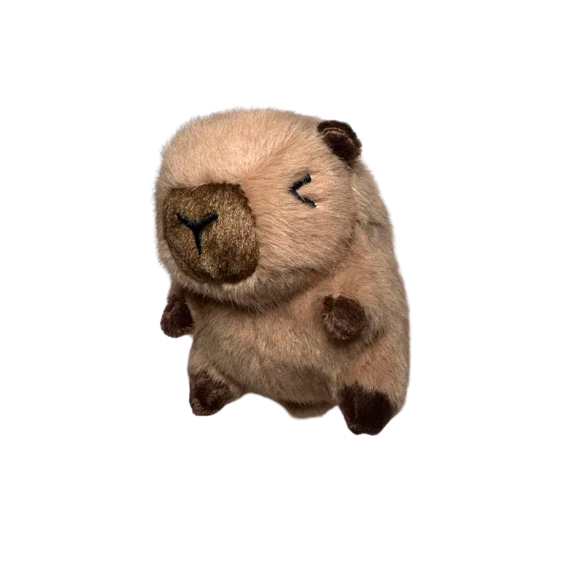 Mini Capybara