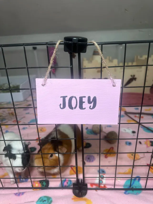 Personalized Name Plate