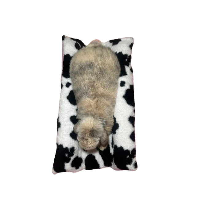 Cow Print Flop Bed
